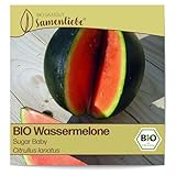 Samenliebe BIO Wassermelonen Samen alte Sorte Sugar Baby besonders süße und saftige Melone rund...