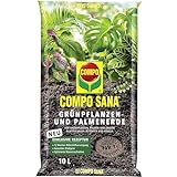 COMPO SANA Blumenerde für Grünpflanzen und Palmen, 12 Wochen Nährstoffversorgung, 10 Liter, COMPO...