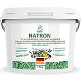 GREENFOXX Natron Pulver (1x 3kg) - Backmittel Triebmittel Backpulver - pH Plus für Pool, Spa &...
