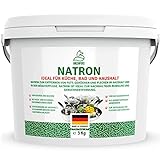 GREENFOXX Natron Pulver (1x 3kg) - Backmittel Triebmittel Backpulver - pH Plus für Pool, Spa &...